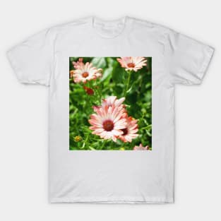 Pink Cinnamon Tradewind Daisy Flowers in the Garden T-Shirt